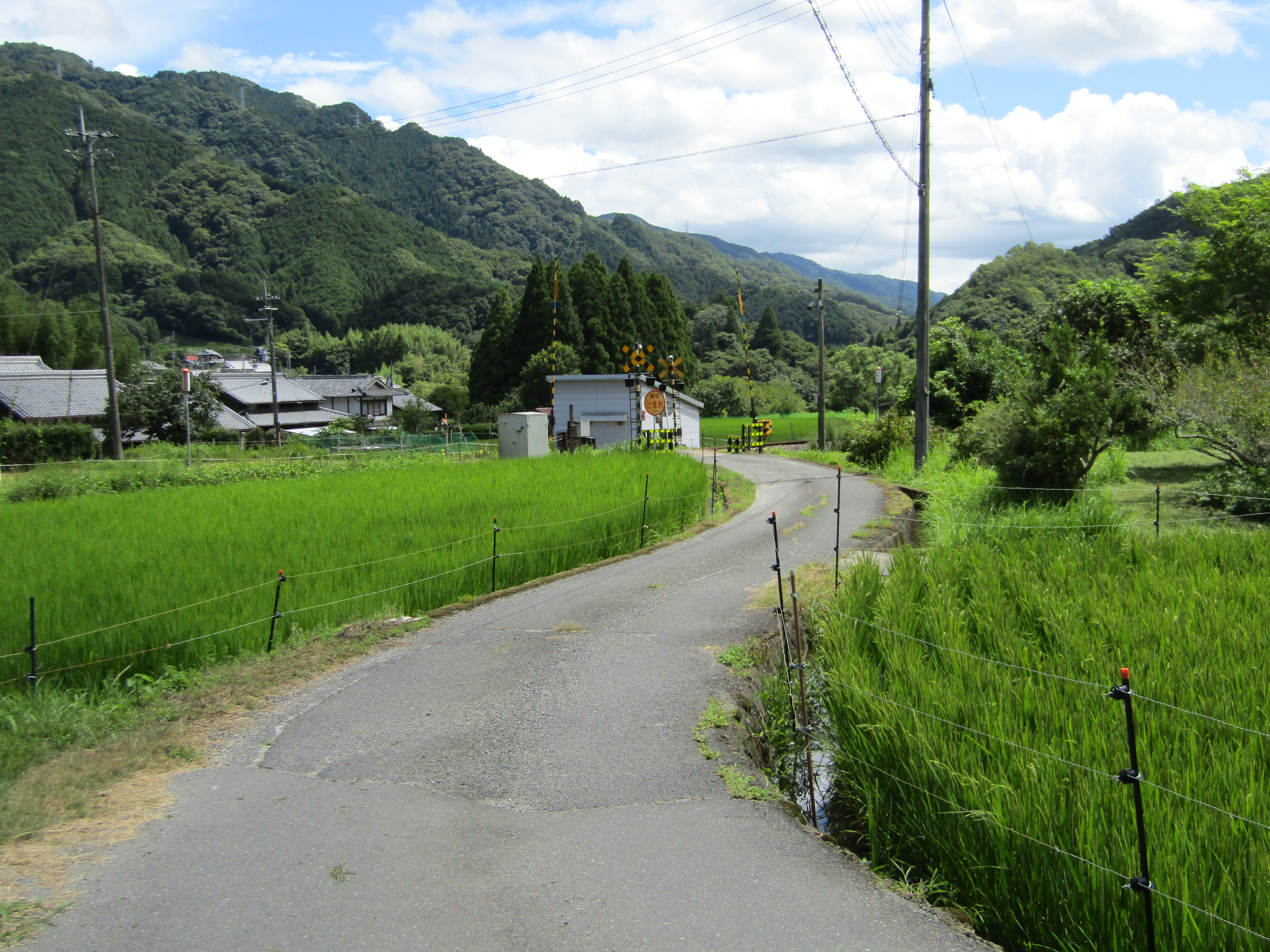 JR飛鳥路踏切